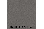 AKCIA, koža Uruguay U-25
